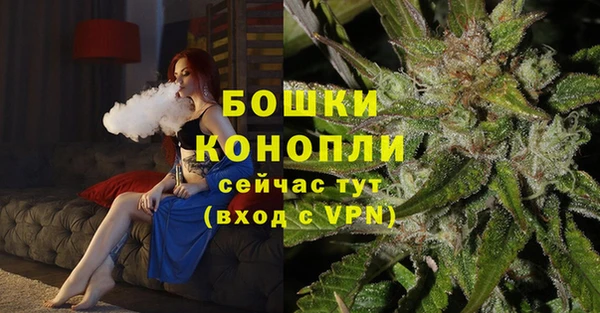 дурь Богданович