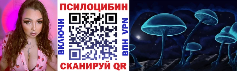 Псилоцибиновые грибы Cubensis  это клад  Гвардейск  кракен сайт 